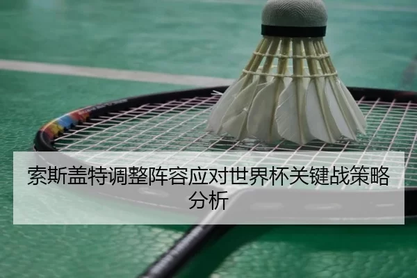 索斯盖特调整阵容应对世界杯关键战策略分析